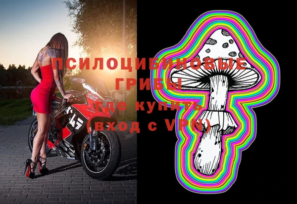 молекула духа Алексин