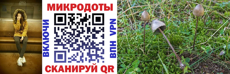 Галлюциногенные грибы Cubensis Мыски