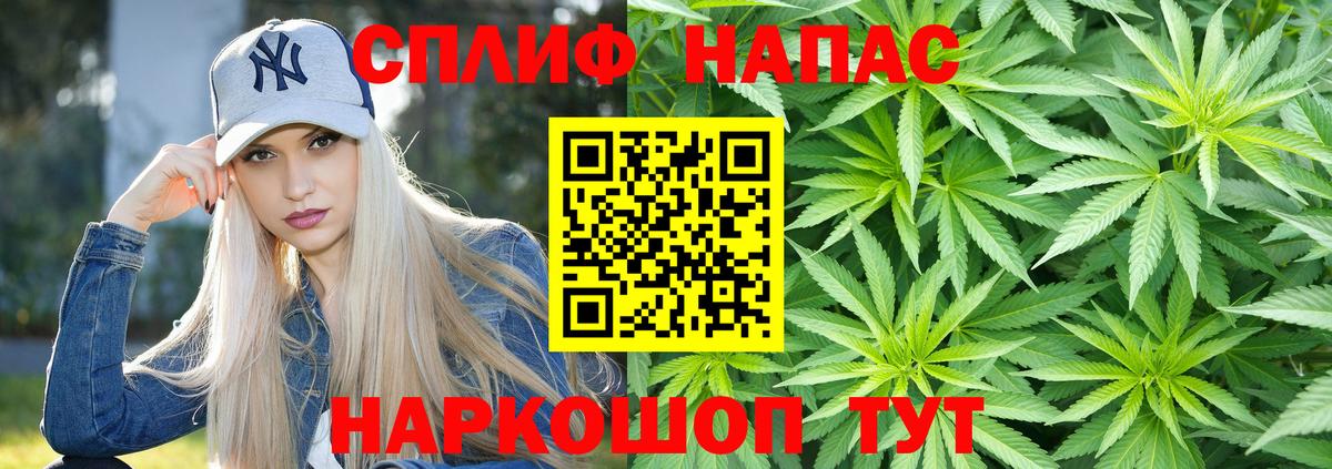 Конопля ГИДРОПОН Мыски